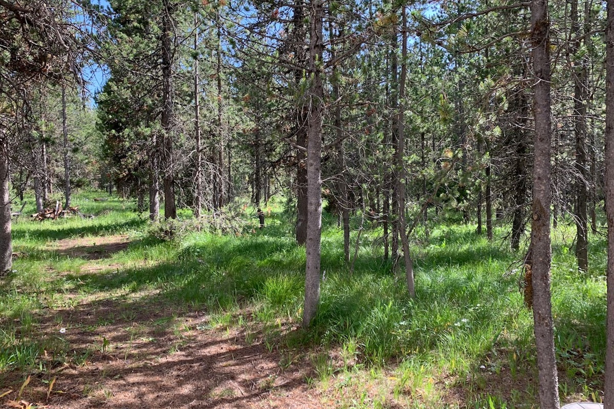 1 Acre Private Surrounding Forest Area