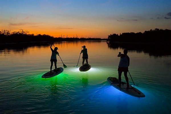 Go see our friends at SUP Englewood for kayak & paddle board rentals!