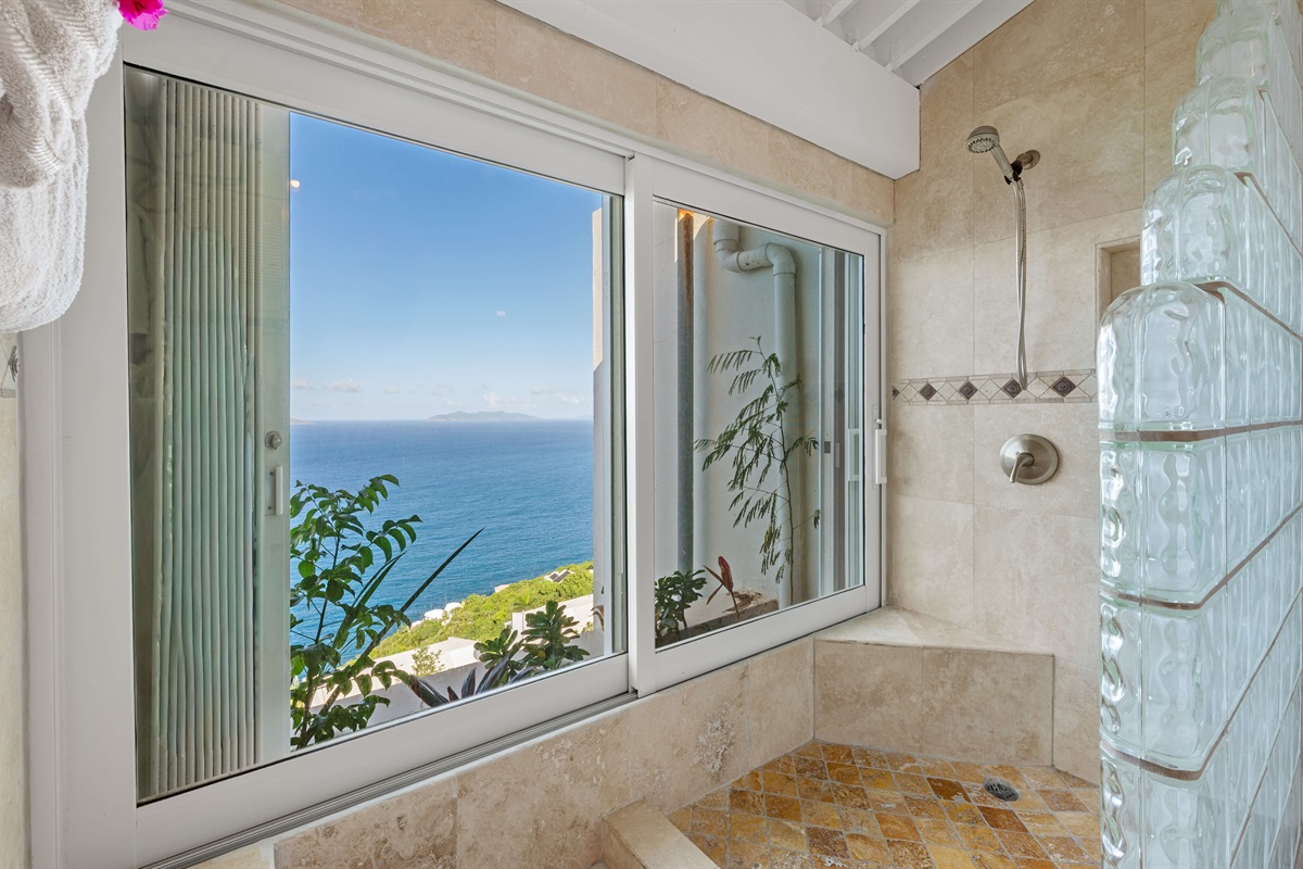 Ensuite primary bathroom has a shower with a view!