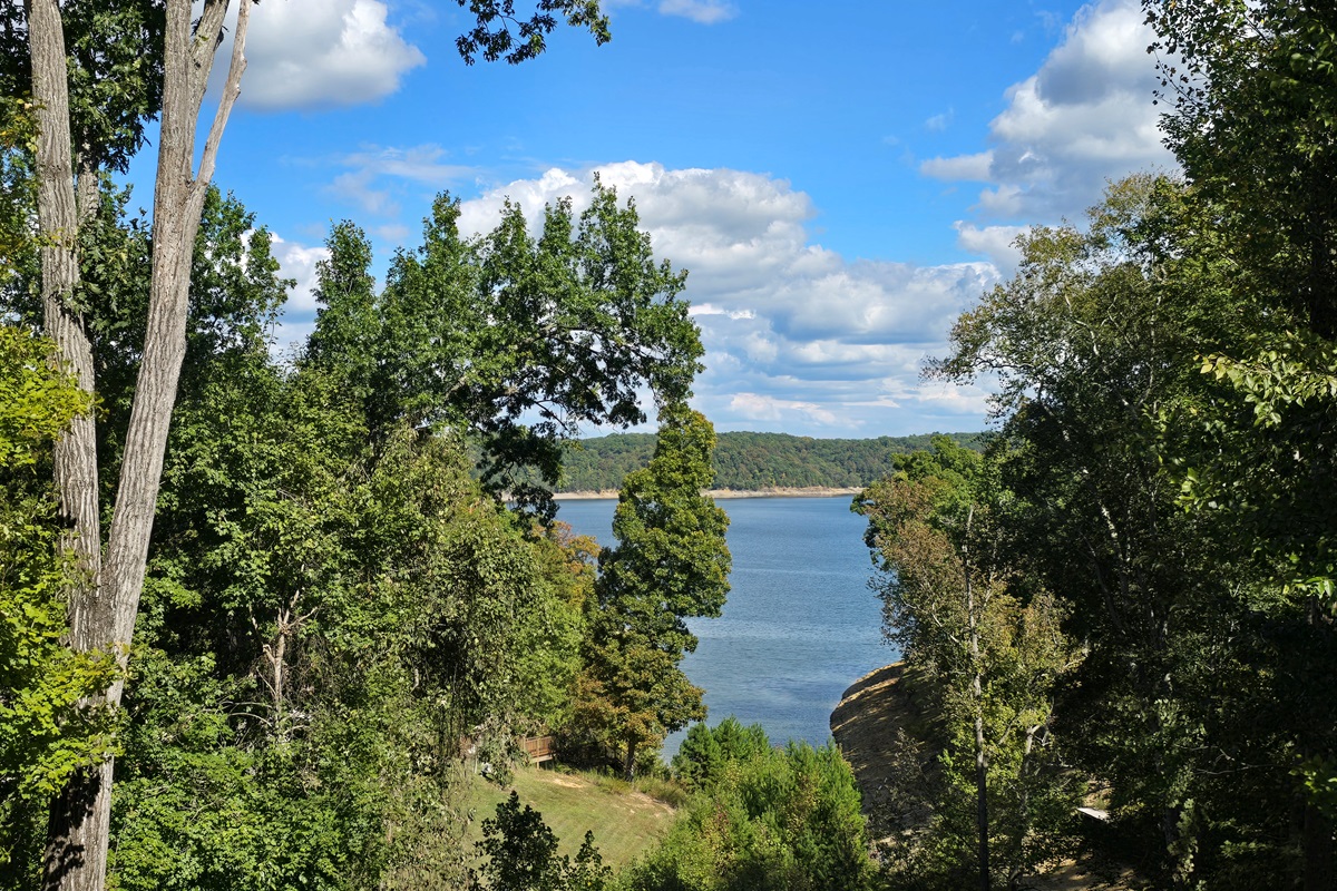 Lake View from Back Deck