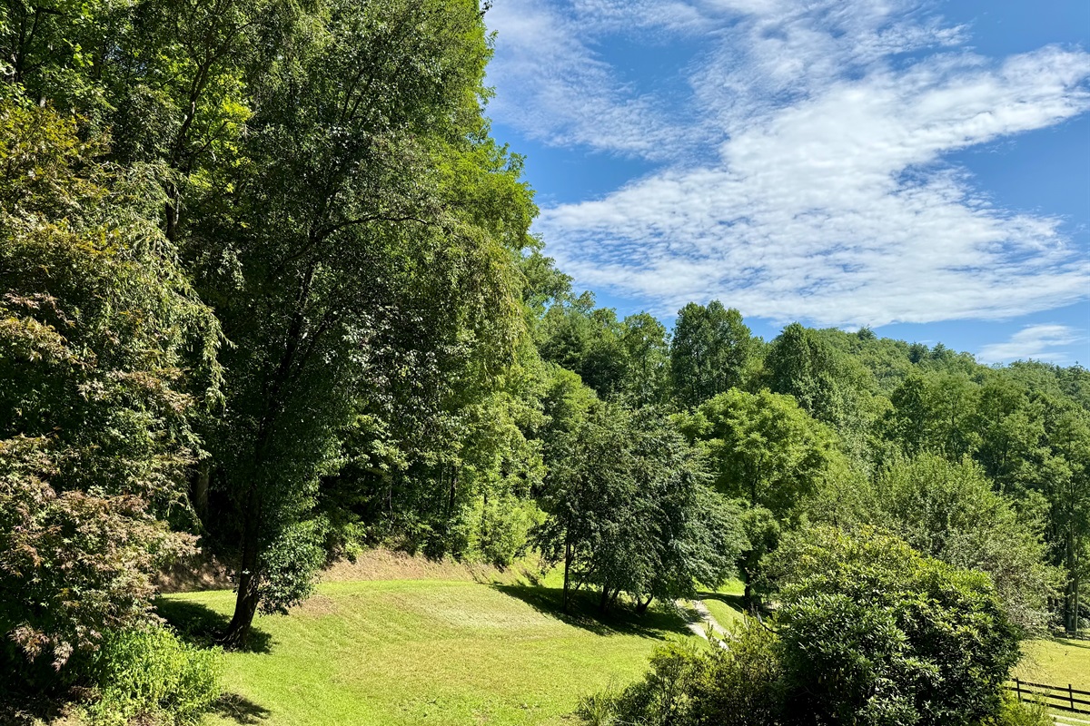 Wide open skies over peaceful pastures.