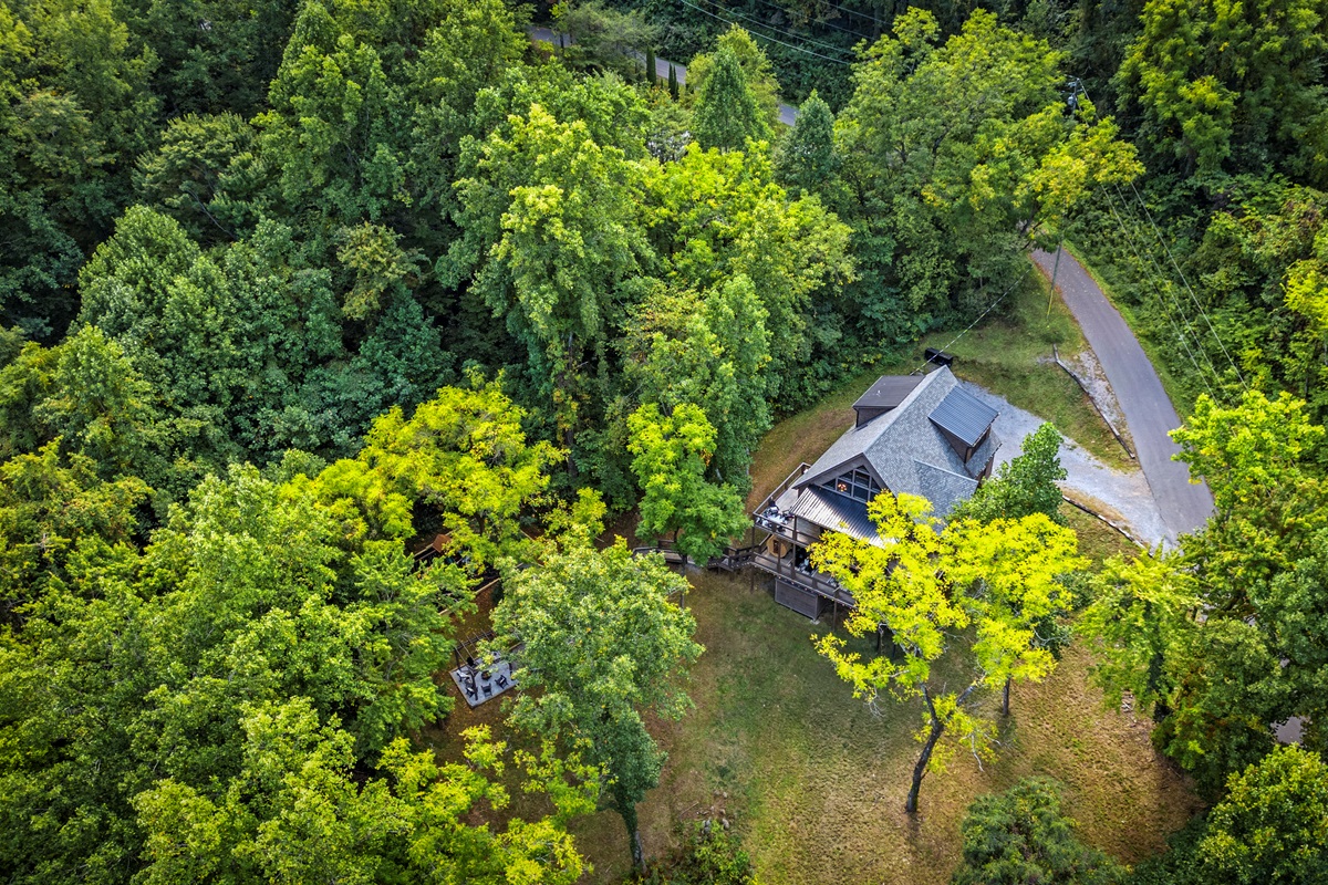 🍃 Room to roam! With 2 acres of lush forest around you, there's space for the kids to play, the dog to sniff, and you to finally exhale.
