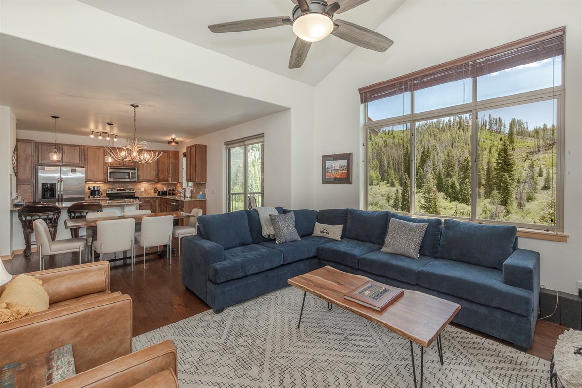 main area with views