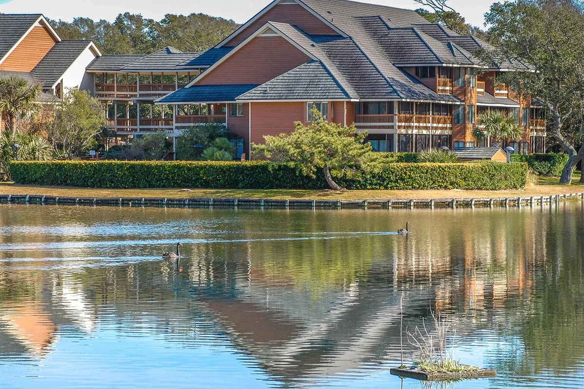 Kingston Plantation - Beautiful water features 