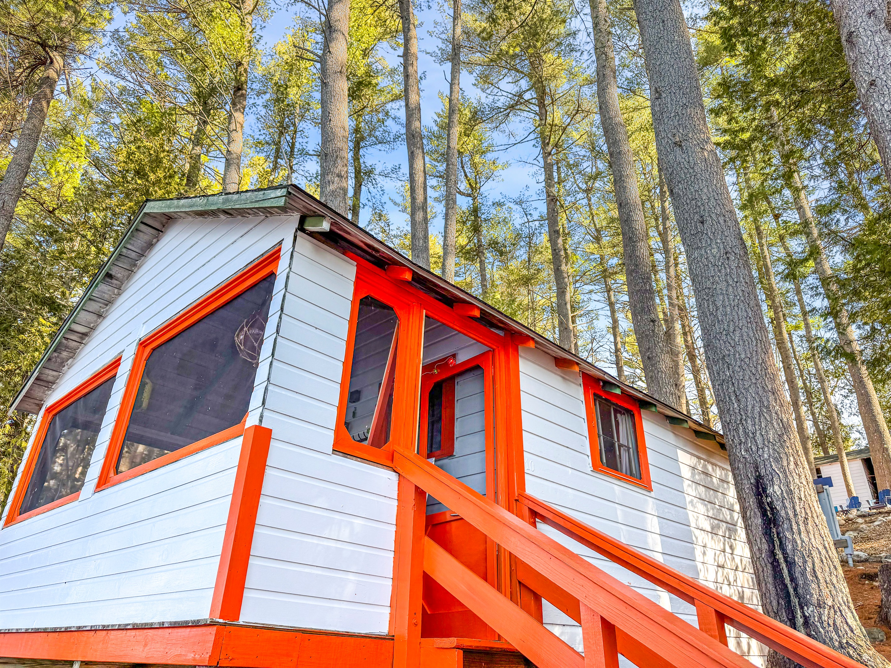 Cozy cabin vibes in the heart of the forest