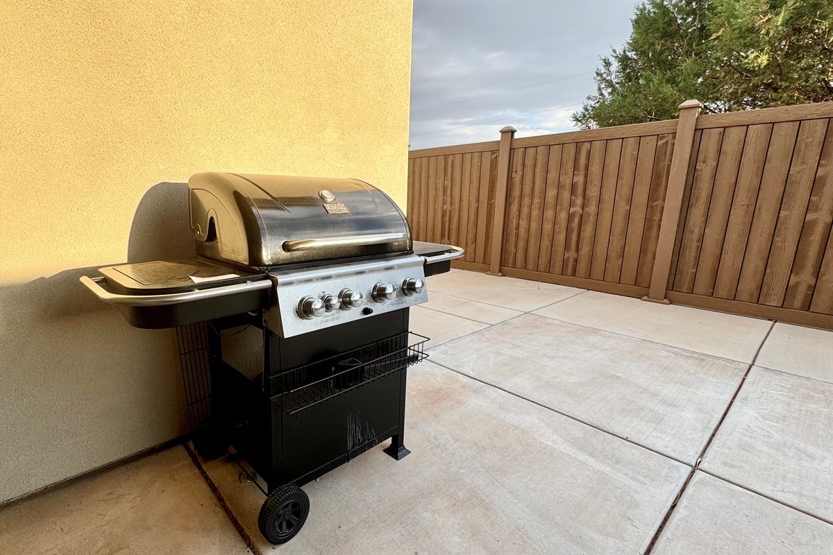 Gas Grill on the Back Patio