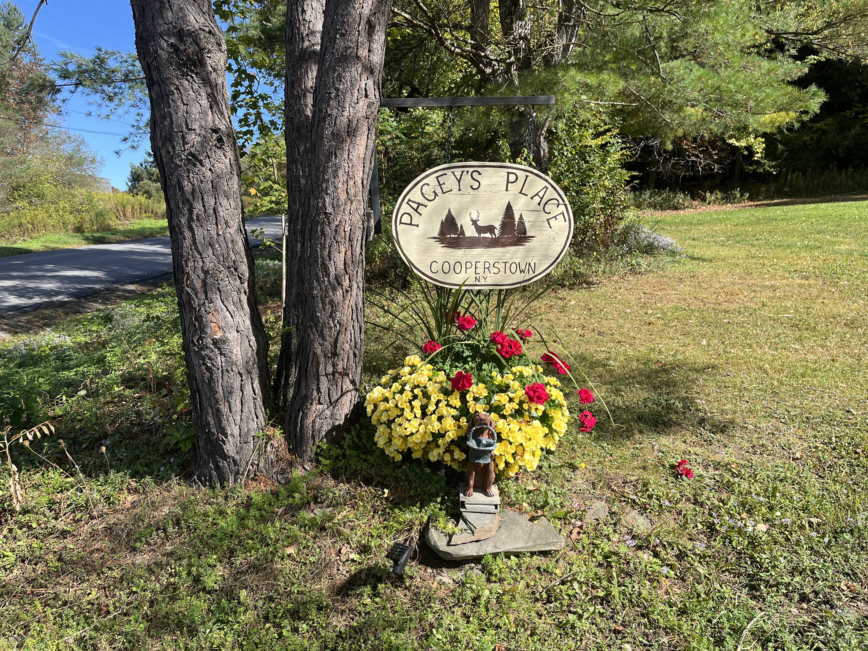 Welcome to Pagey's Place