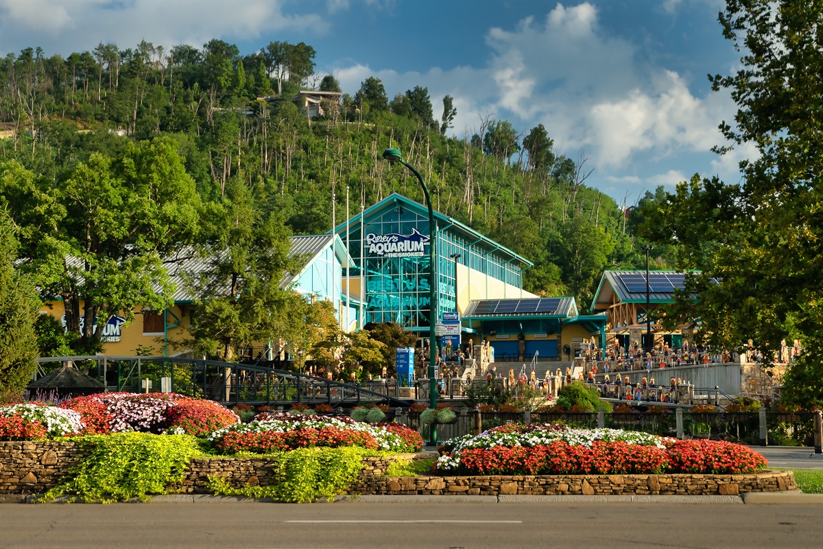 Ripley's Believe It or Not! aquarium is the #2 aquarium to visit in North America!