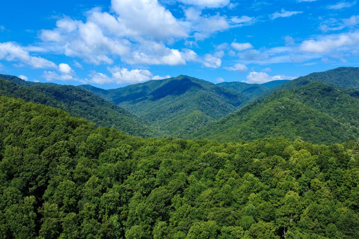 Secluded mountain camping tucked into nature’s embrace.