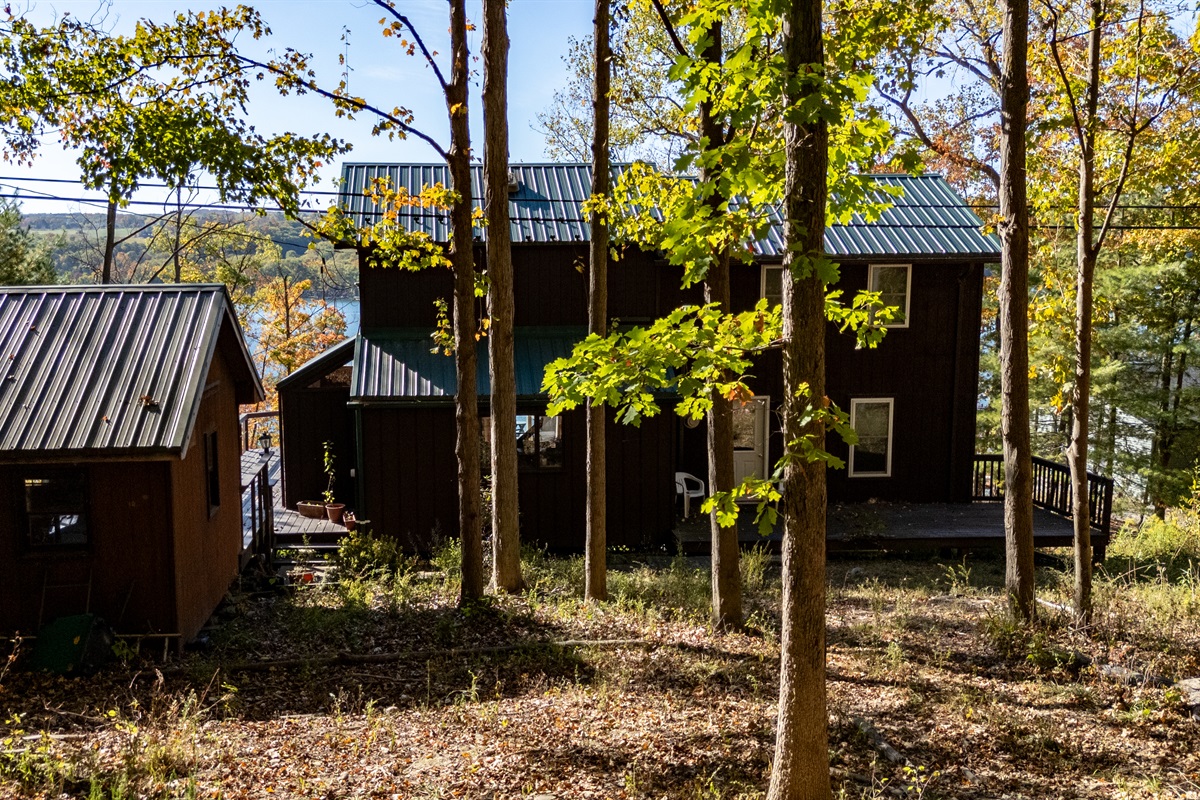 Rear of cabin tucked amongst tall trees — private, quiet, forested setting.