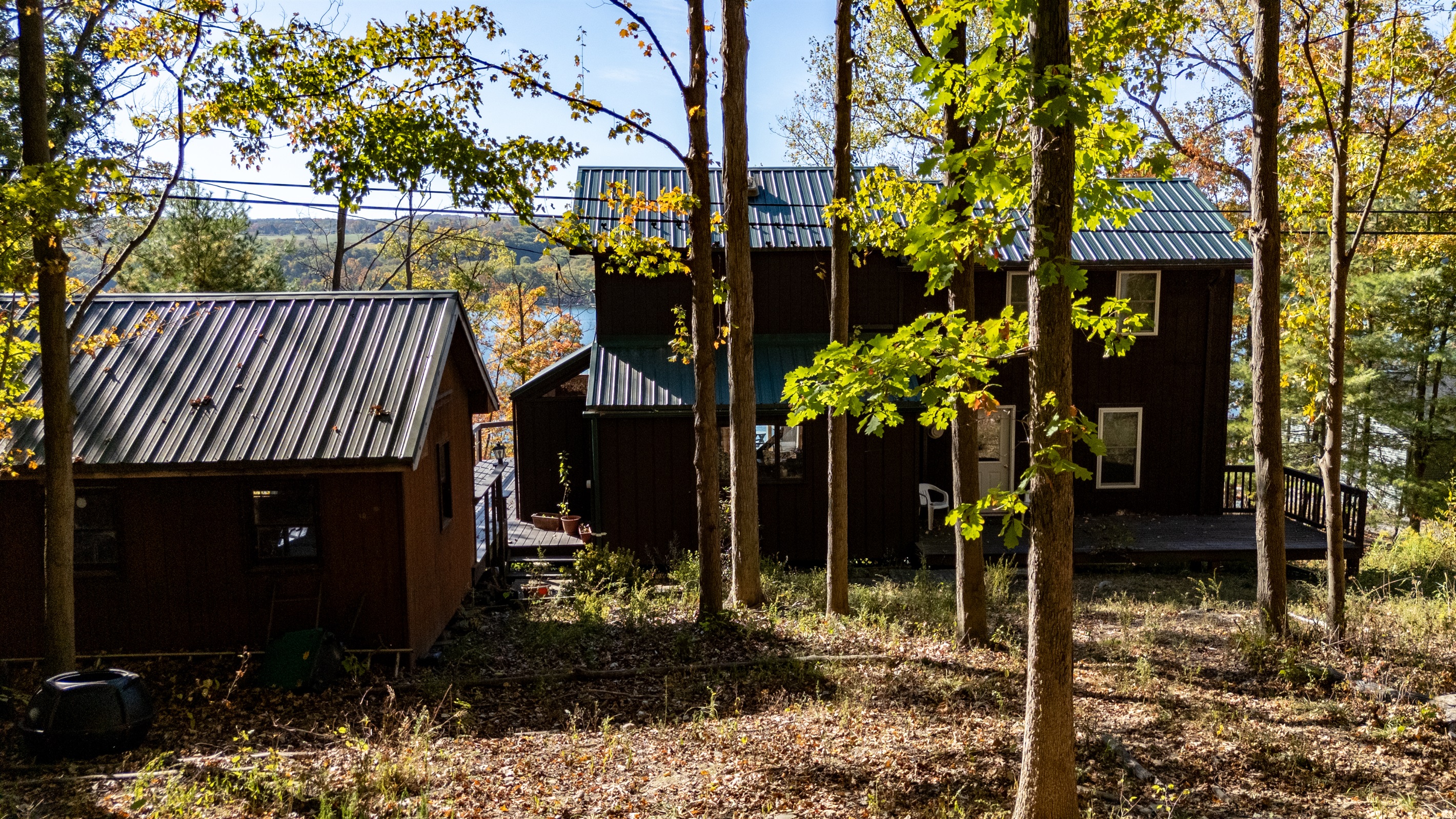 Rear of cabin tucked amongst tall trees — private, quiet, forested setting.
