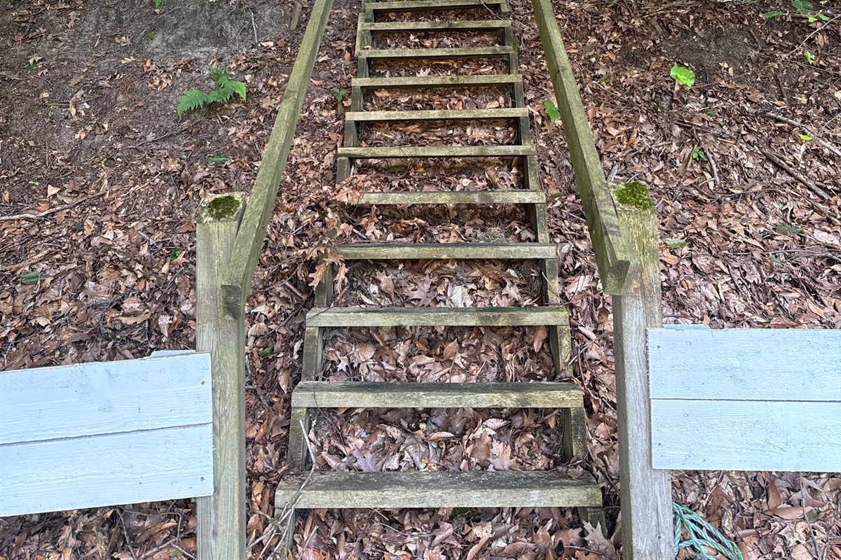 Explore 3 acres of natural dune on our upper bluff