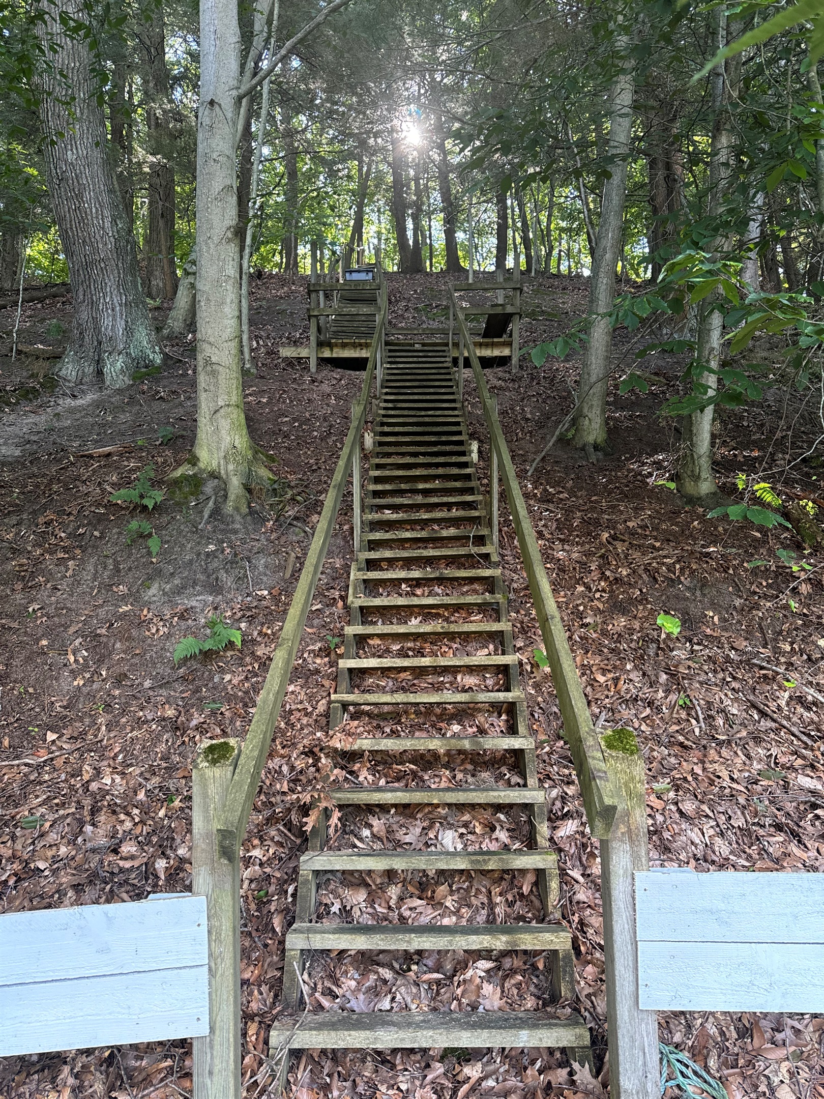 Explore 3 acres of natural dune on our upper bluff