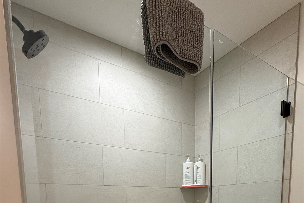 Master Ensuite - Large walk-in shower