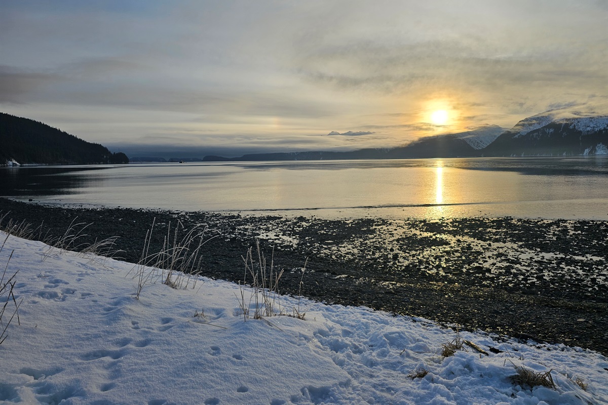 Resurrection Bay access near the cabin