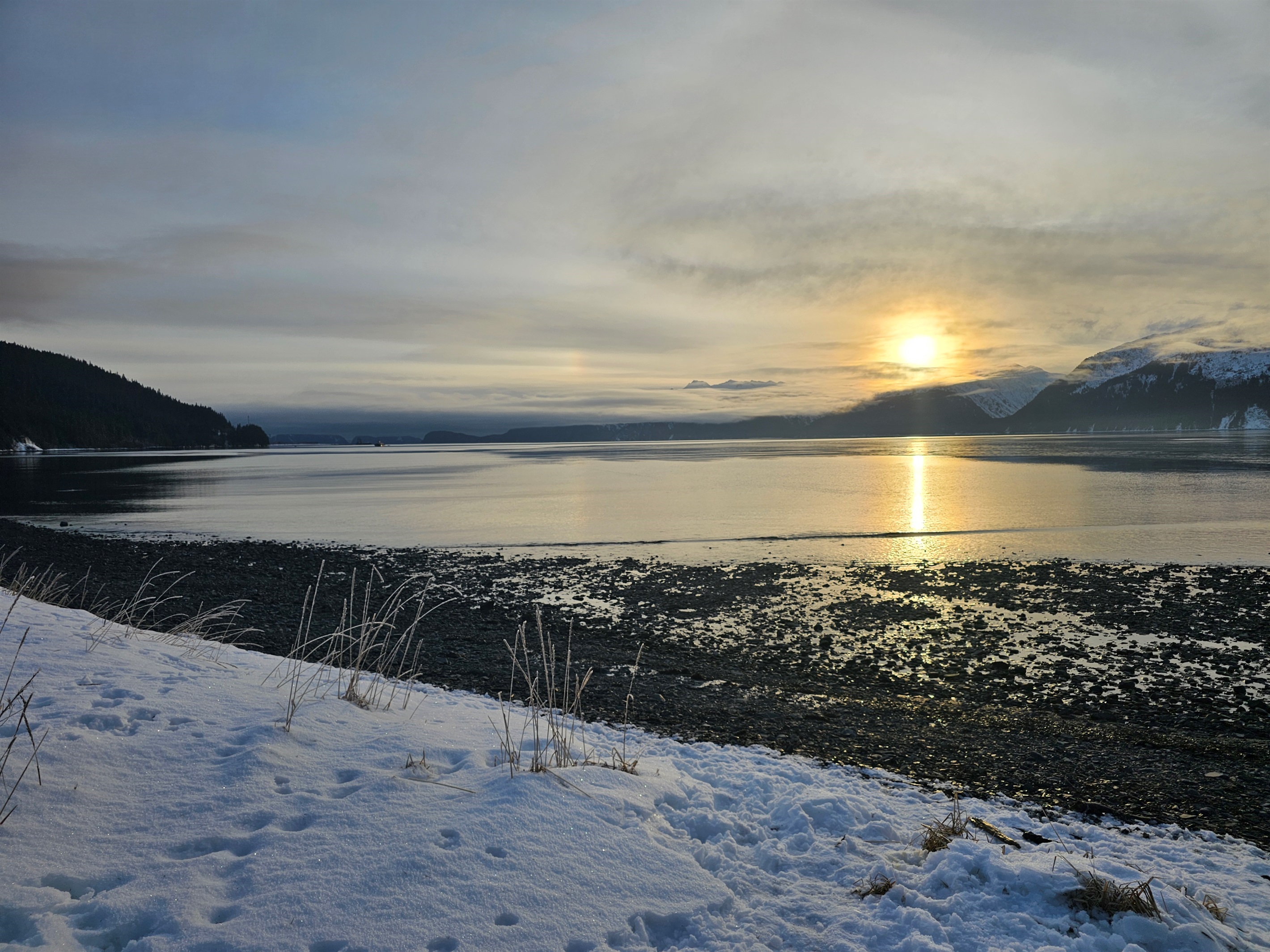 Resurrection Bay access near the cabin
