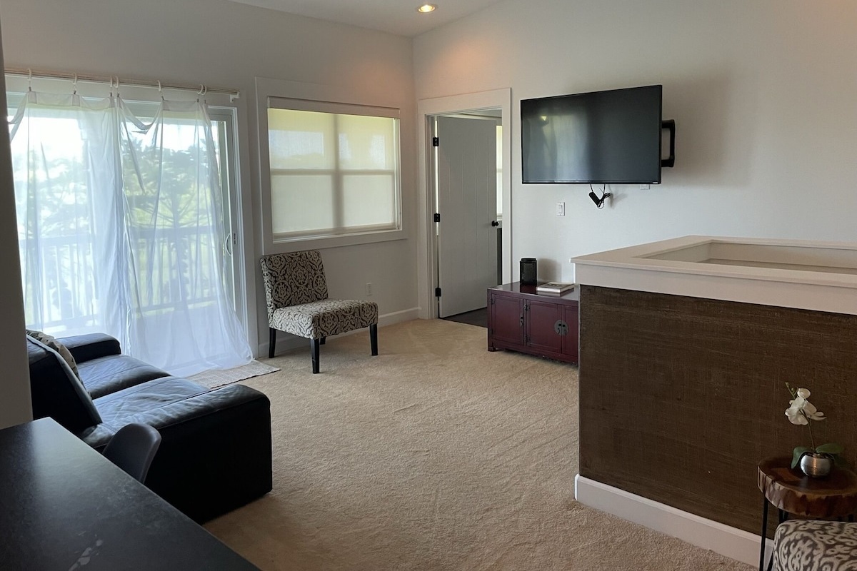 Bonus room/loft. Perfect for teenagers or another group that want to watch their own shows together.