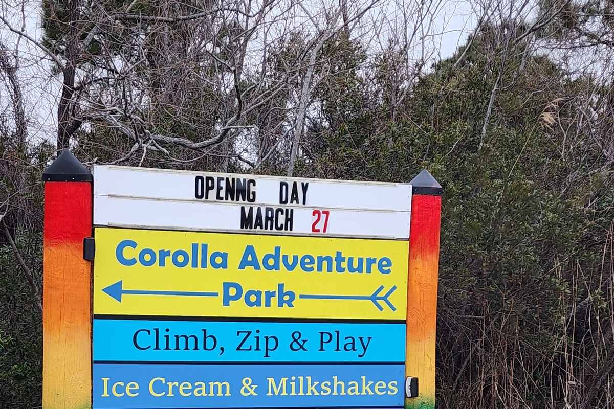 Local fun activities!