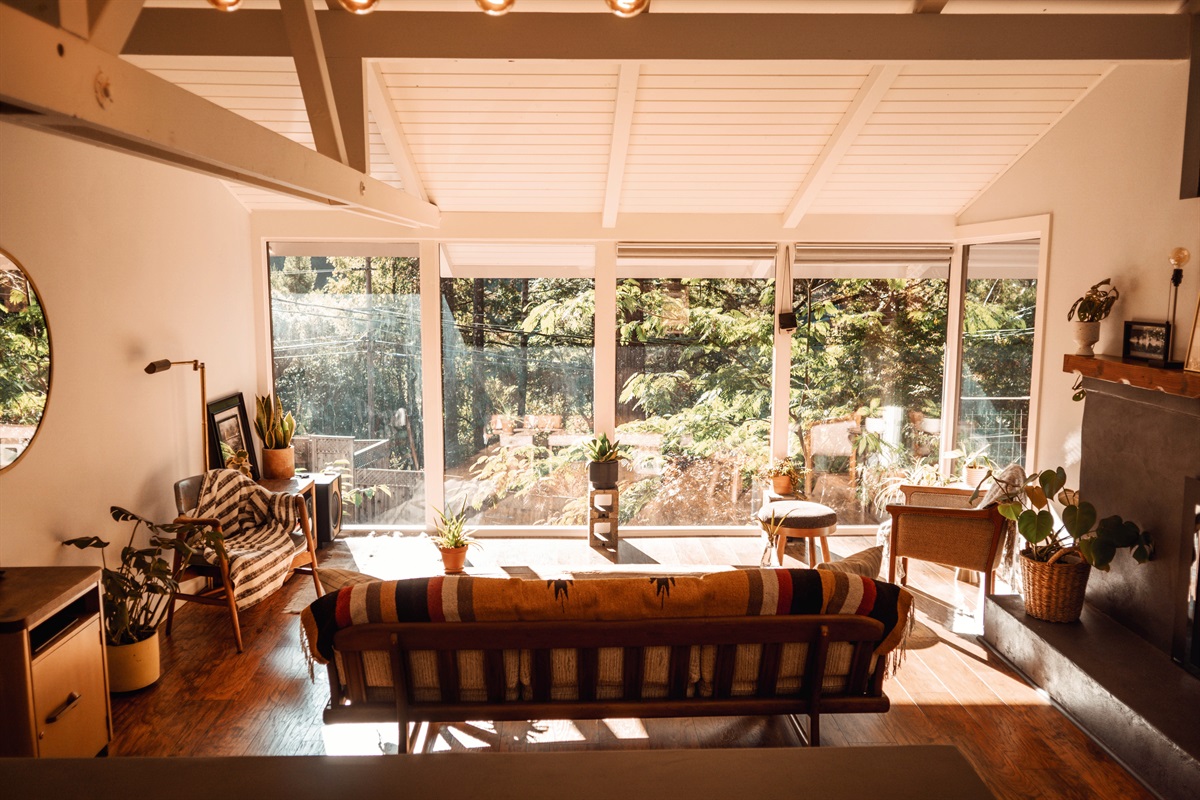 Wake up to sunlight streaming through the redwoods.
