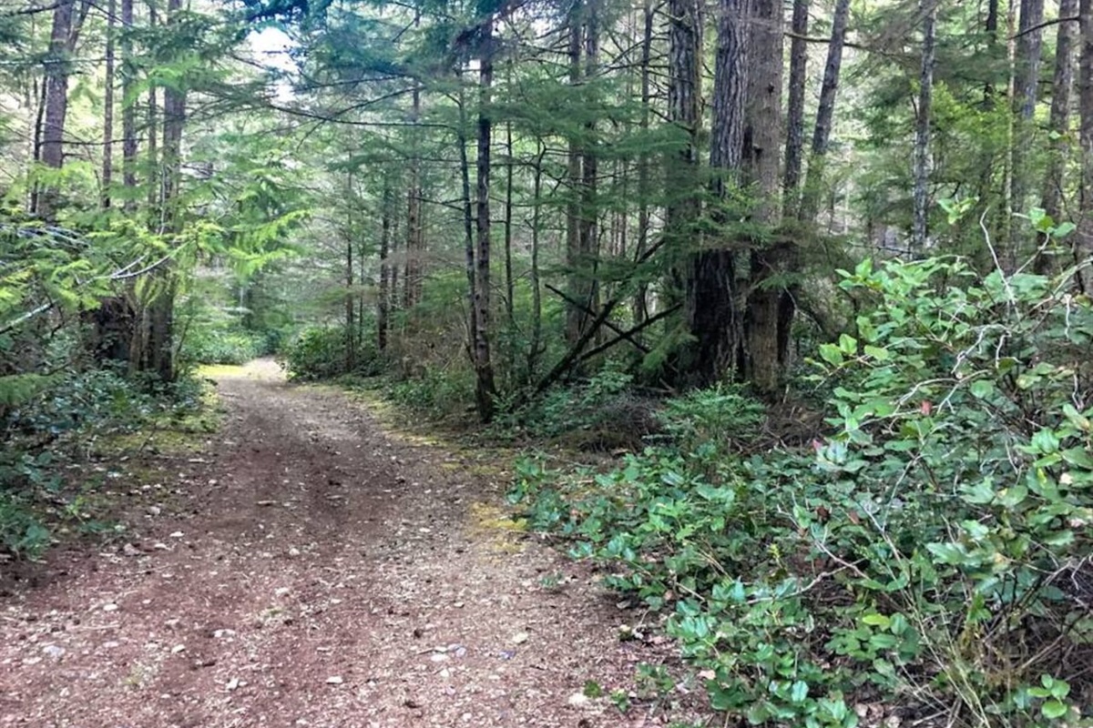 More Paths
