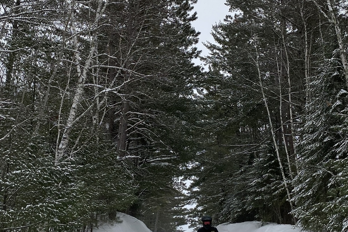 Lots of local beautiful trails to explore!