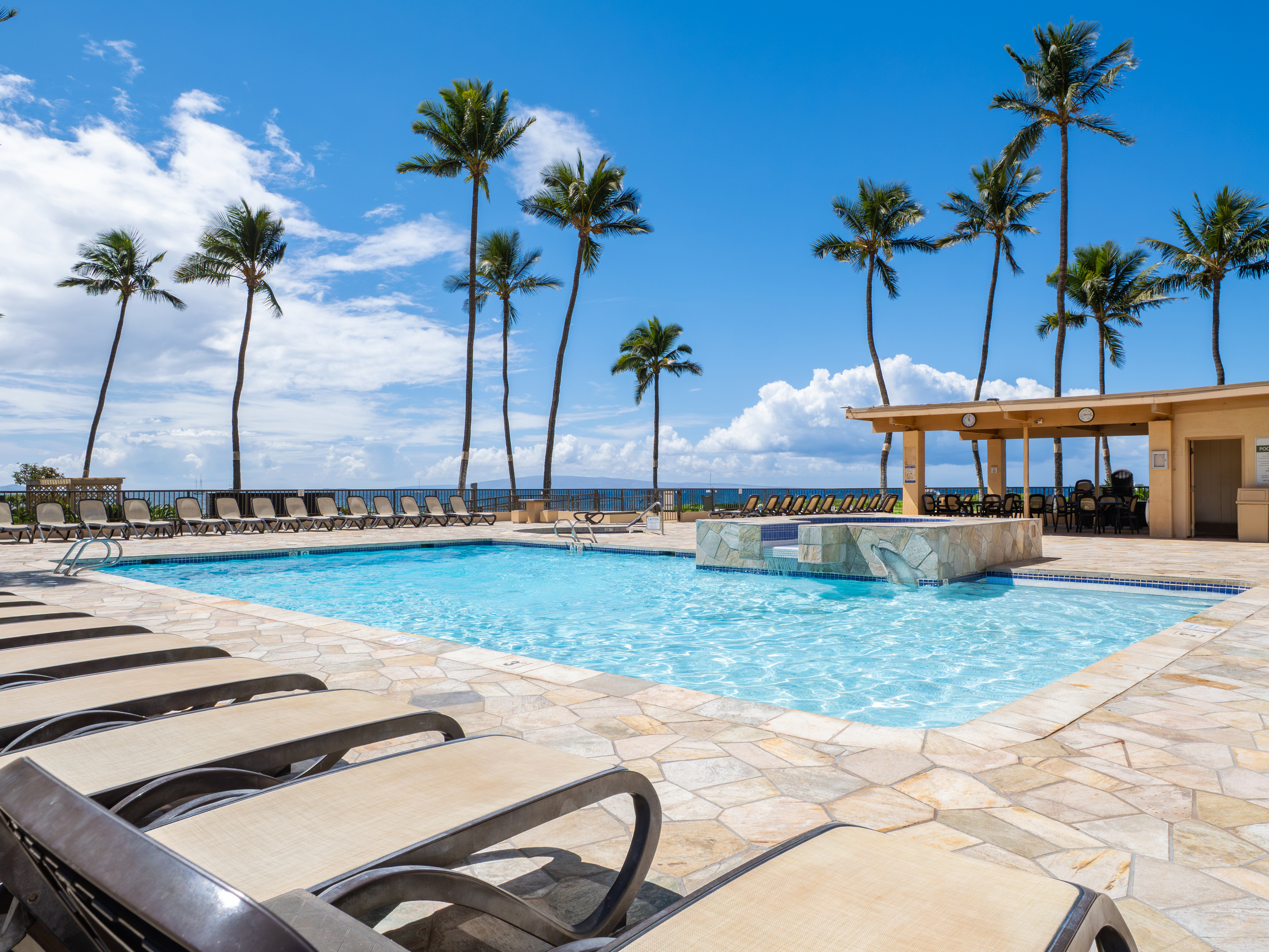 Pool & Hot Tub