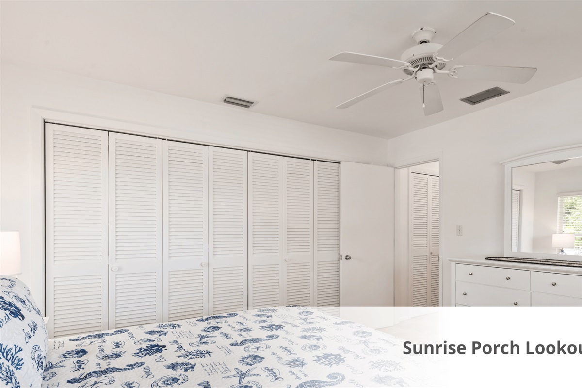 Huge Closet and Dresser