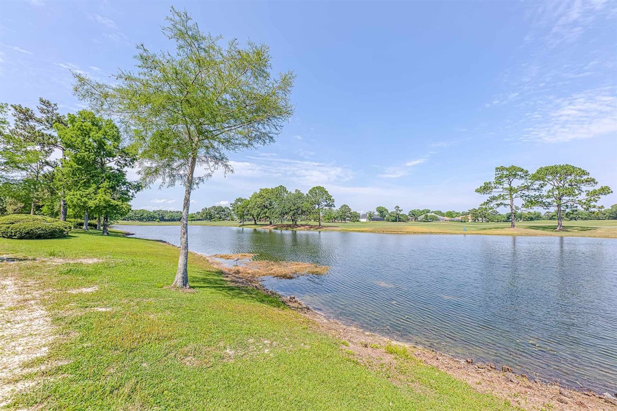 Scenic Retreat: Enjoy serene lake views and lush greenery just steps from your door!