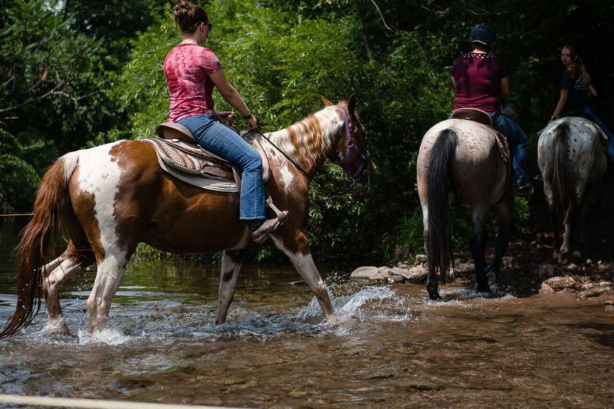 Mountain Creek Riding Stables - Horseback Riding, Pony Rides (for little kids), Wagon Rides for the Whole Family. About 24 minutes drive.