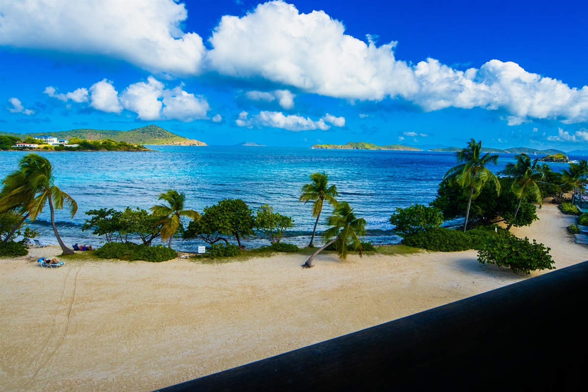 Your view from the unit&mdash;palms, sand, and serenity.