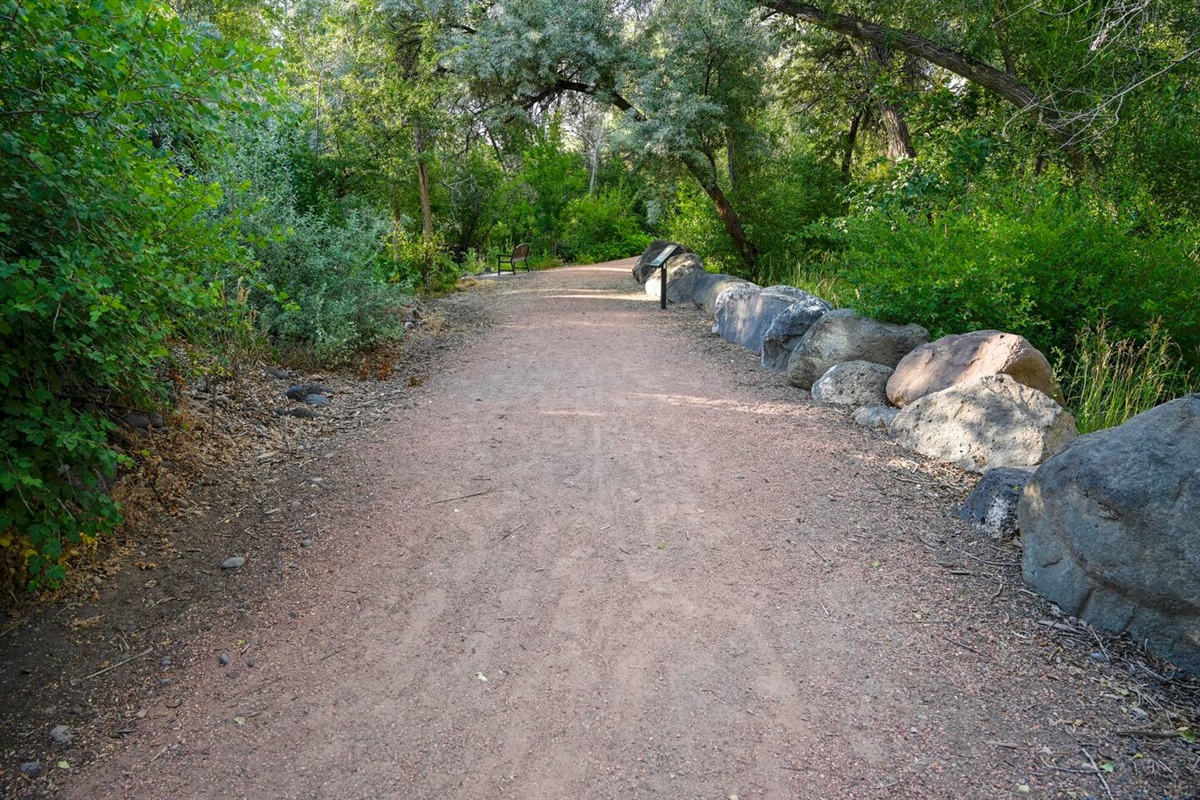 Surface creek walking path directly behind the house. 