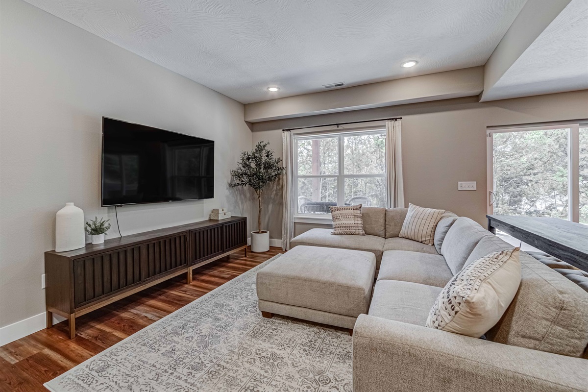 Lower level living area