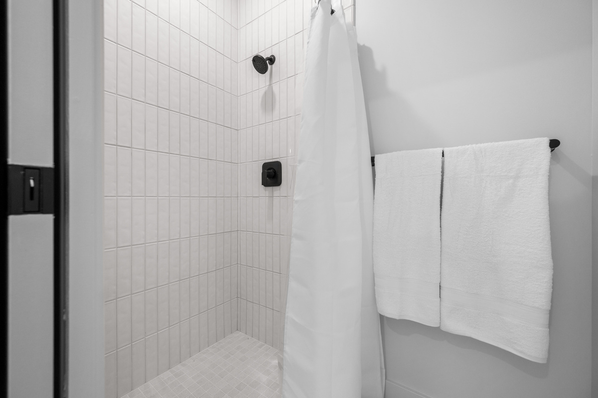 Walk-in shower with contemporary finishes.