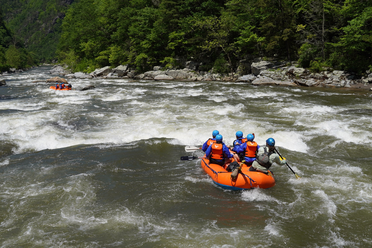 Hawksnest Adventures offers Whitewater Rafting (leaving for the river from our neighborhood) & there are multiple other guides offering trips nearby too!