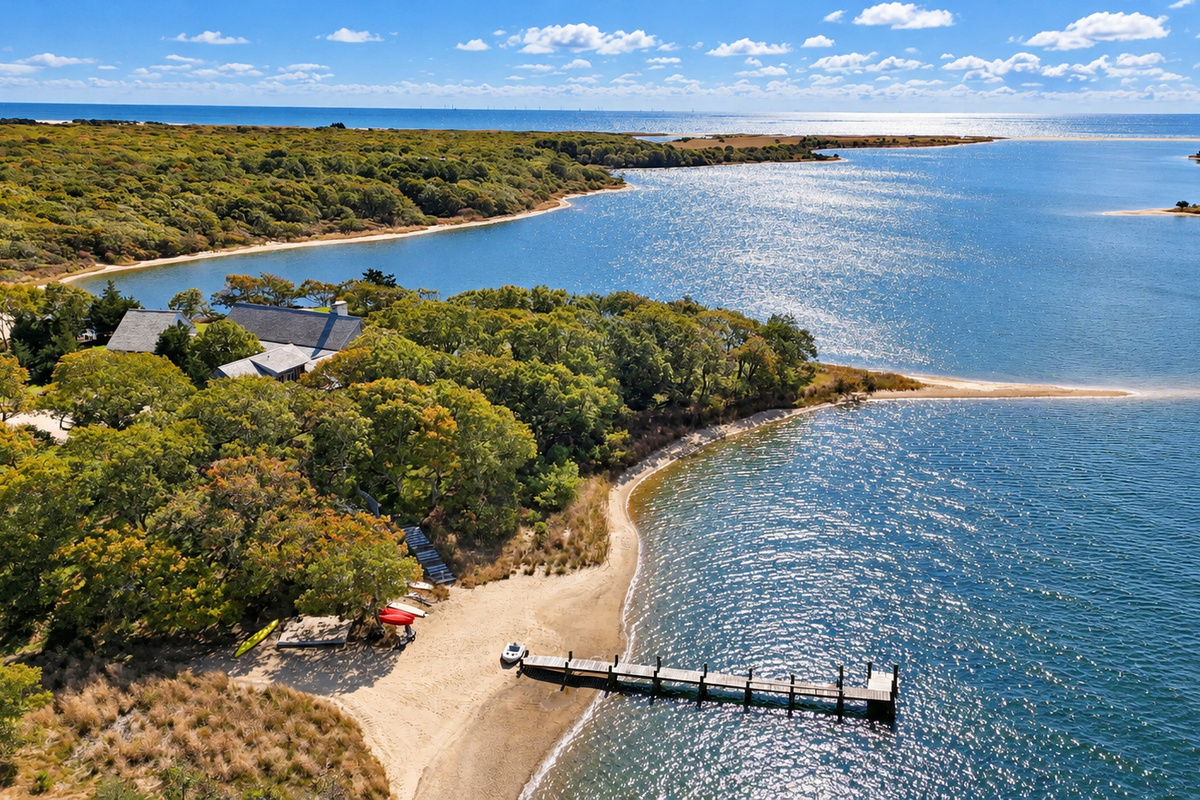 Aerial view of the beach and private dock