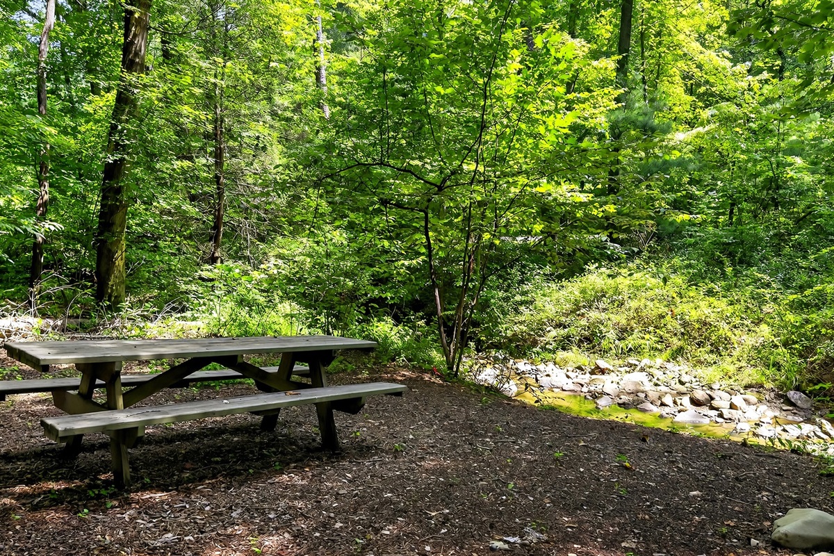 Picnic table by the creek