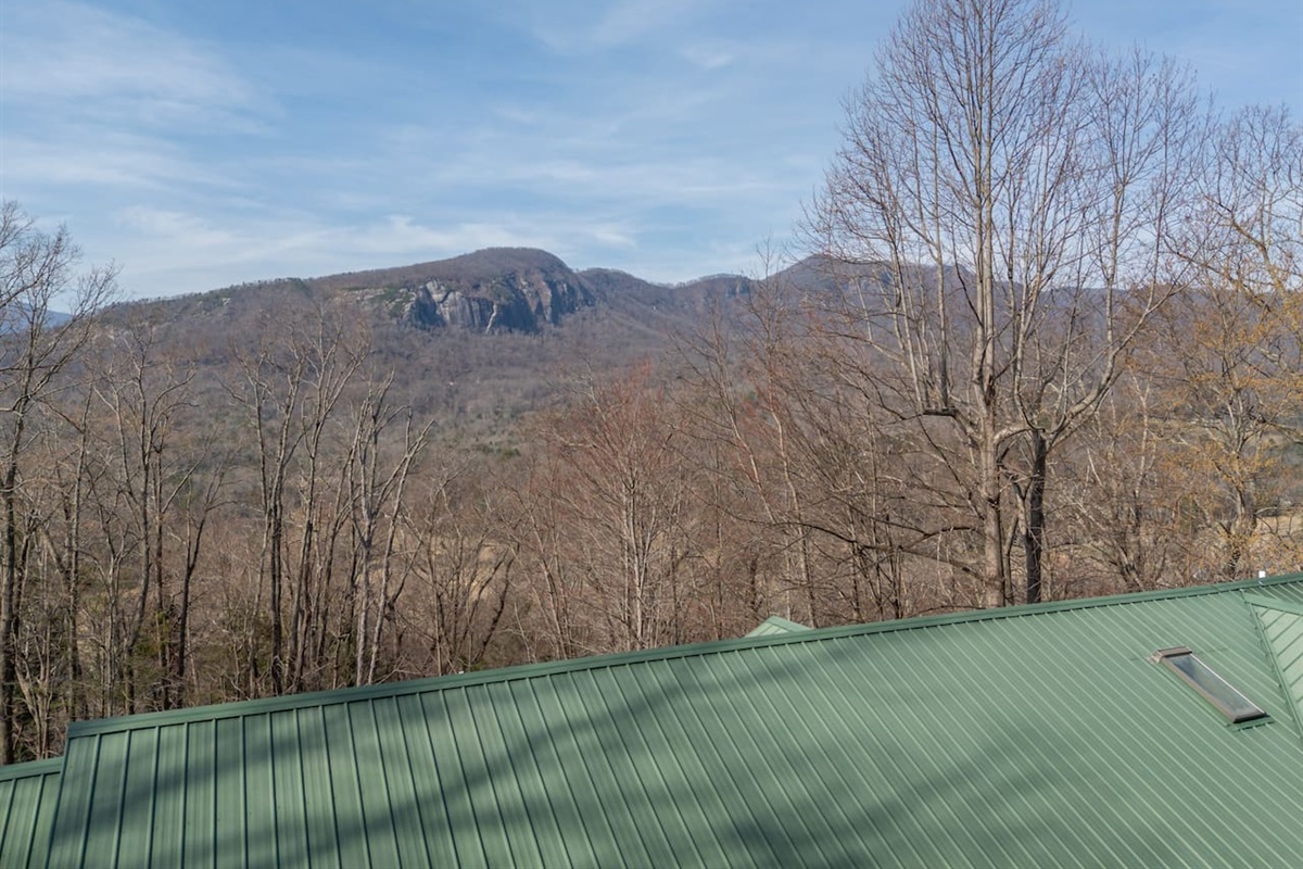 Upper drone view of the home