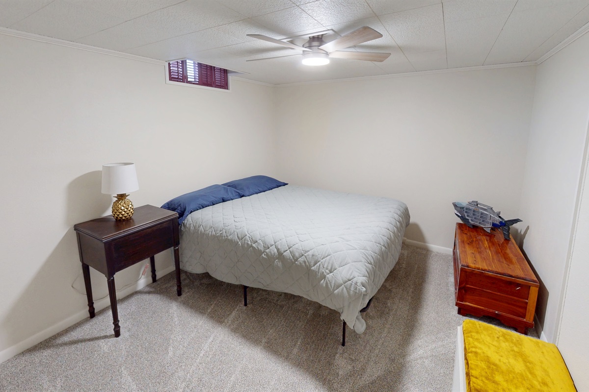 Fifth Bedroom in the Basement 