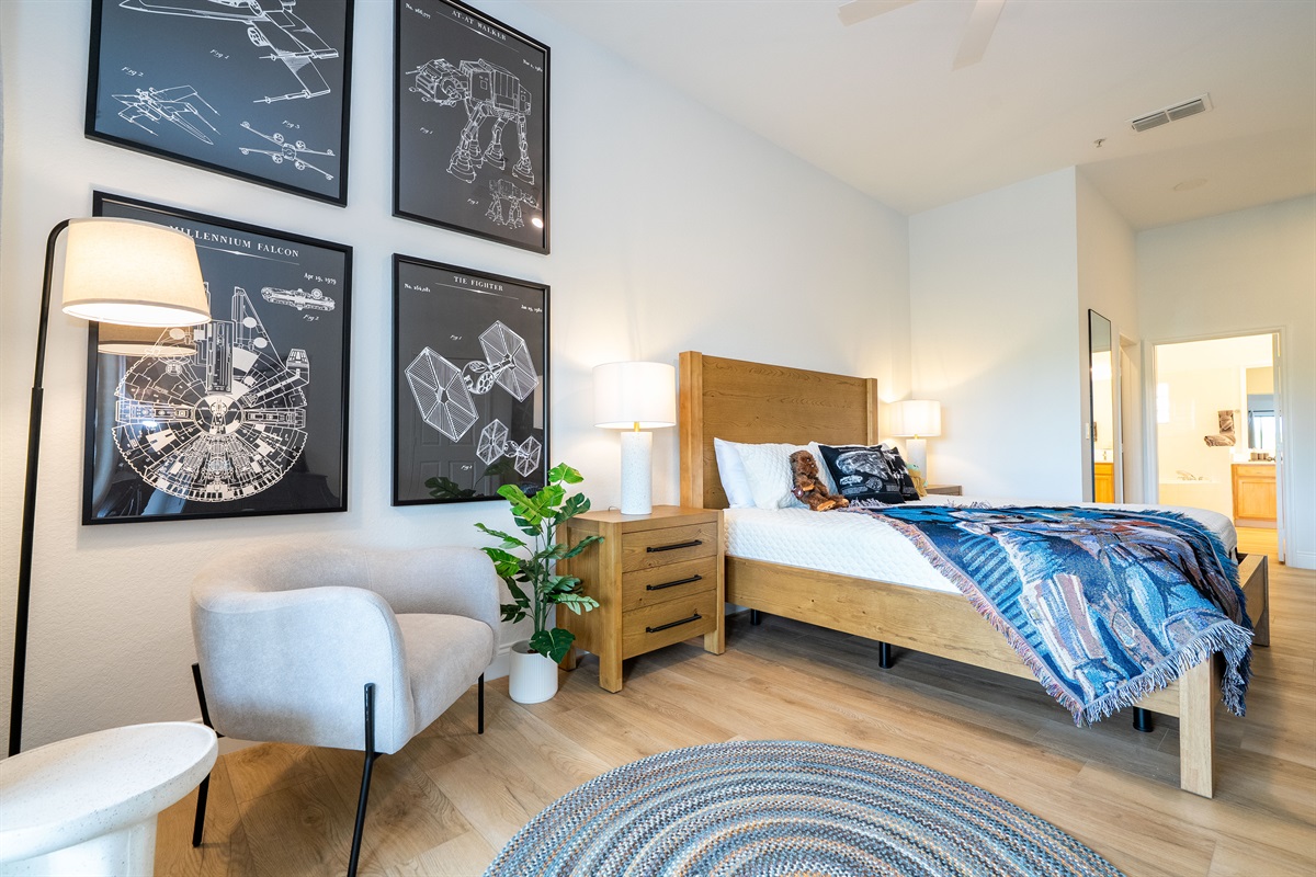 Star Wars Master Bedroom