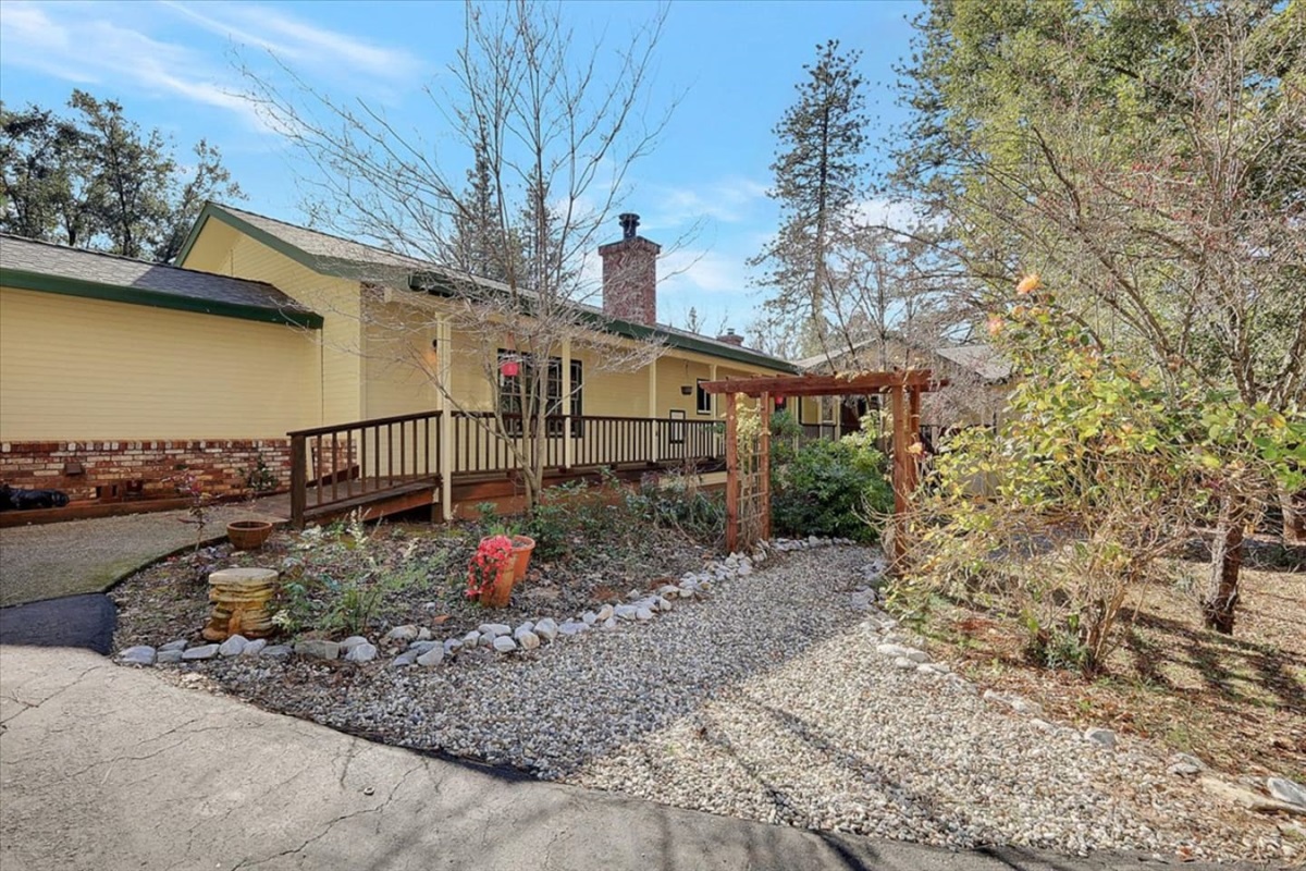 Wooded side yard with a gravel path, trees, and a quiet cabin setting.
