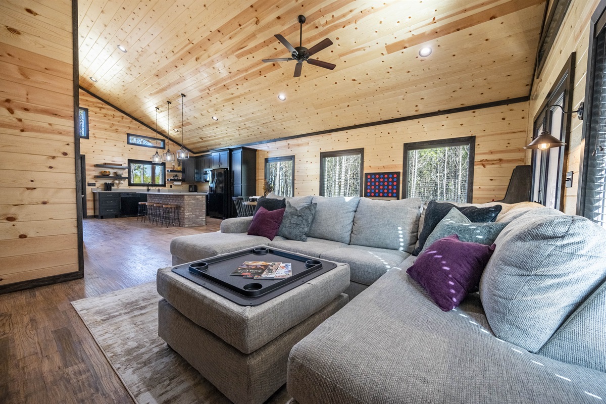 This sofa sets the tone. Cozy yet functional to play games or allow a family of 4 to all watch a movie together.
