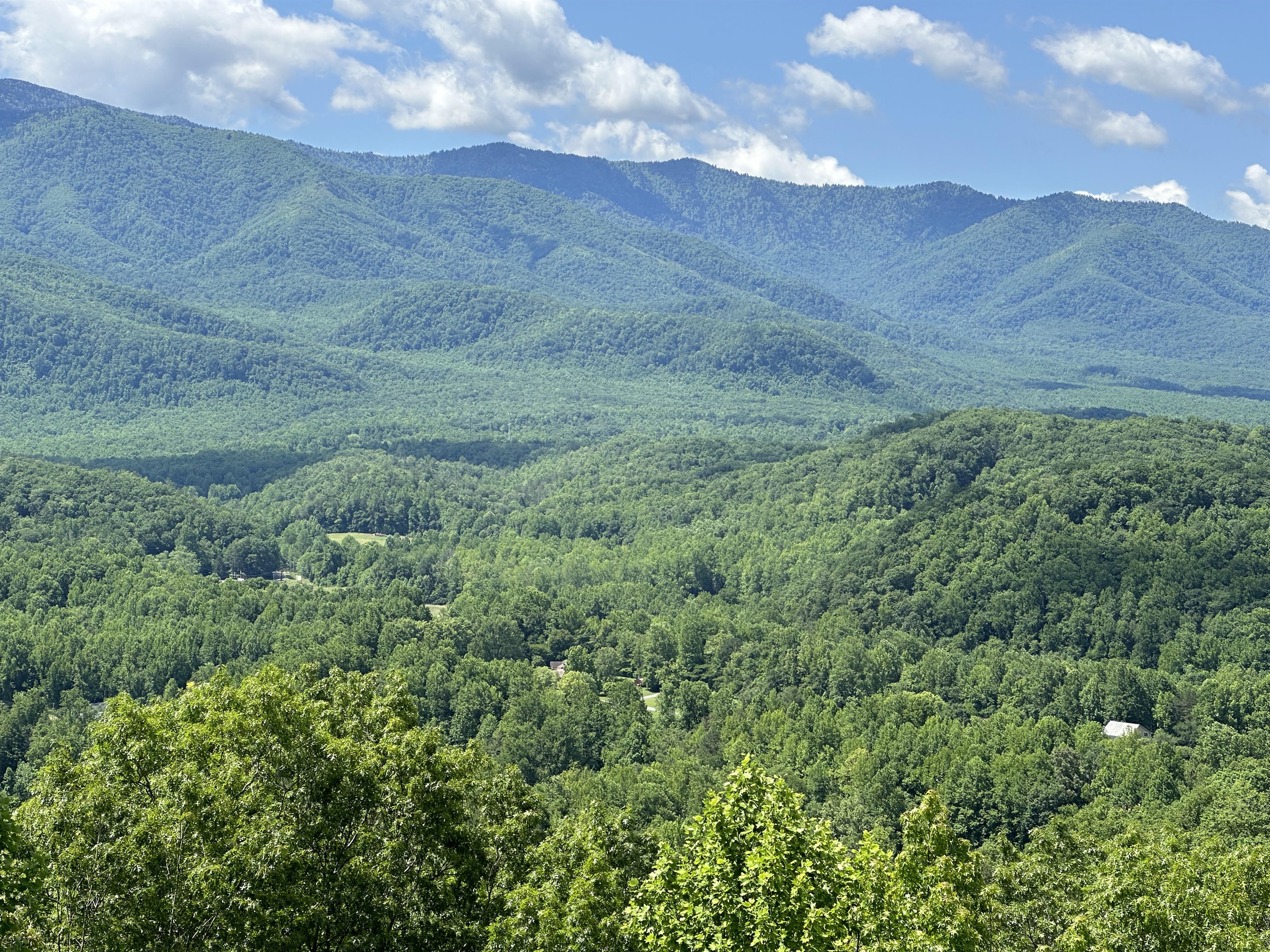 Breathtaking views on the Parkway
