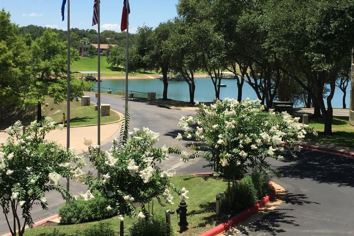 Cove & Hill Country View from Patio