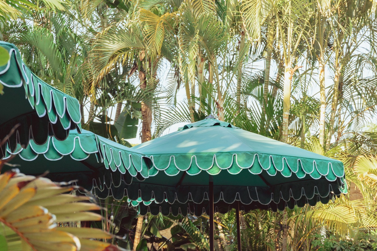 Our idyllic, sun-splashed pool (shared) is right out of a summer dream.