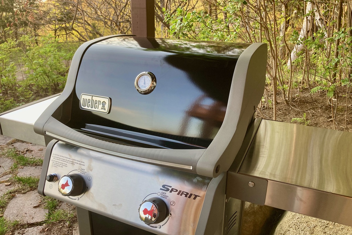 Brand new Webber BBQ!