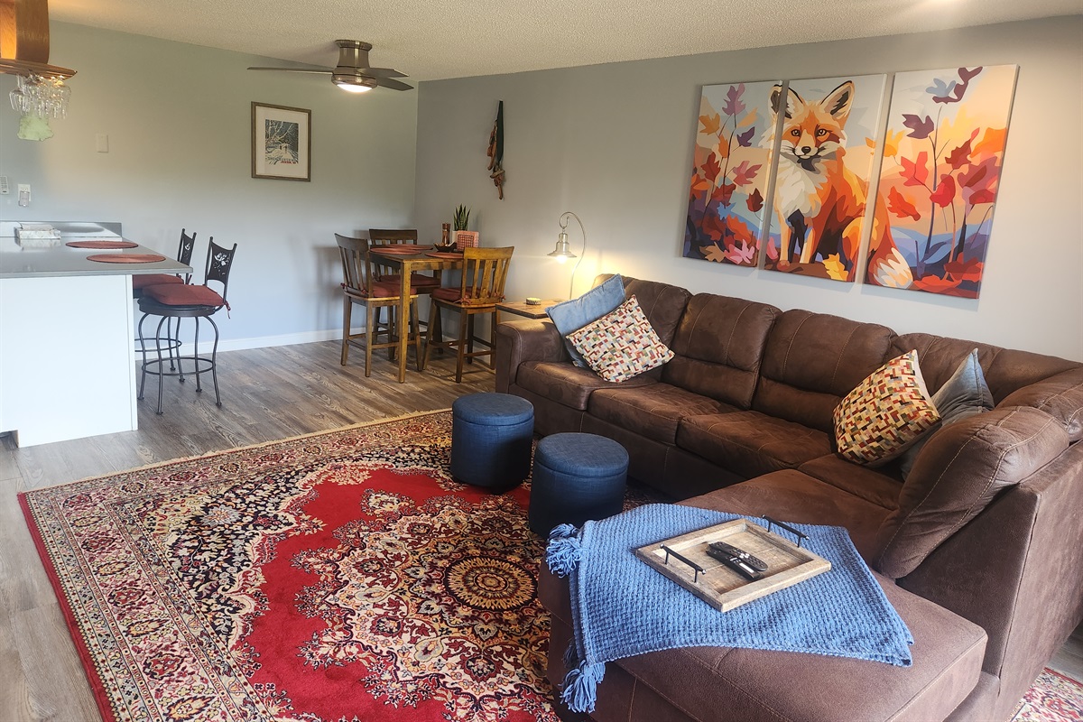 Open concept living rom with queen pull out sofa