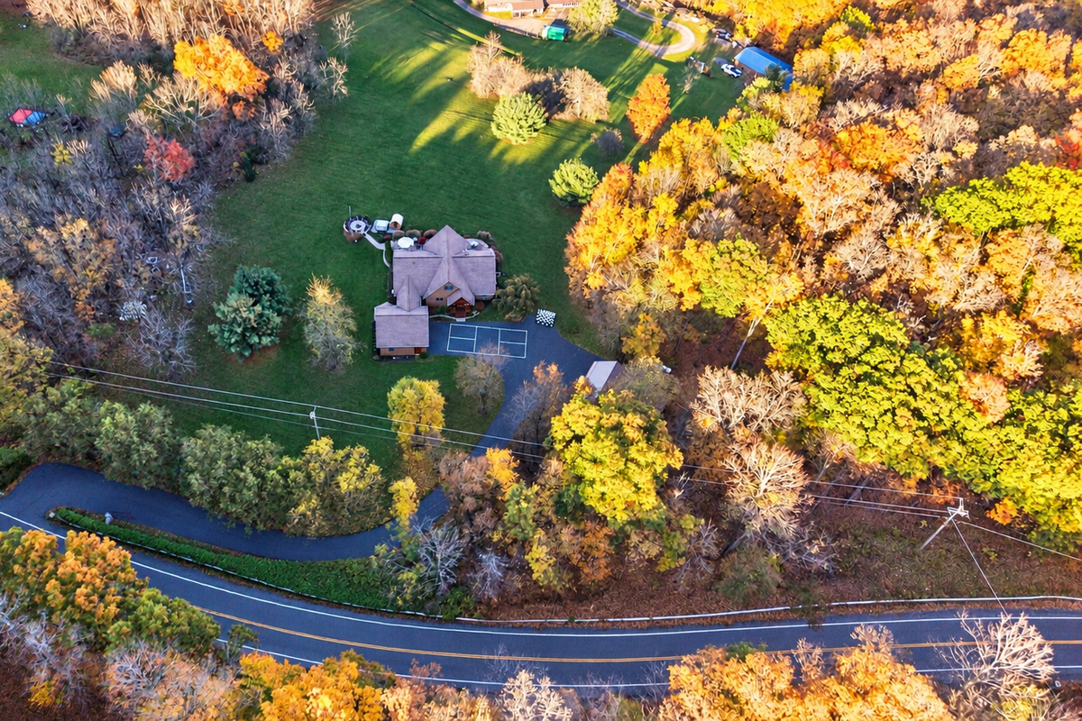 Aerial view of property beside tree-lined road