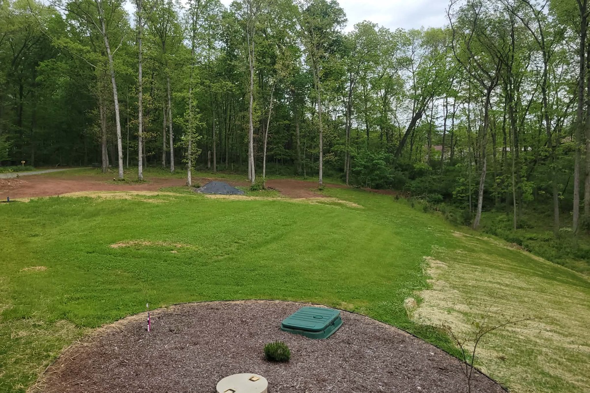 Front yard area -fresh grass planted