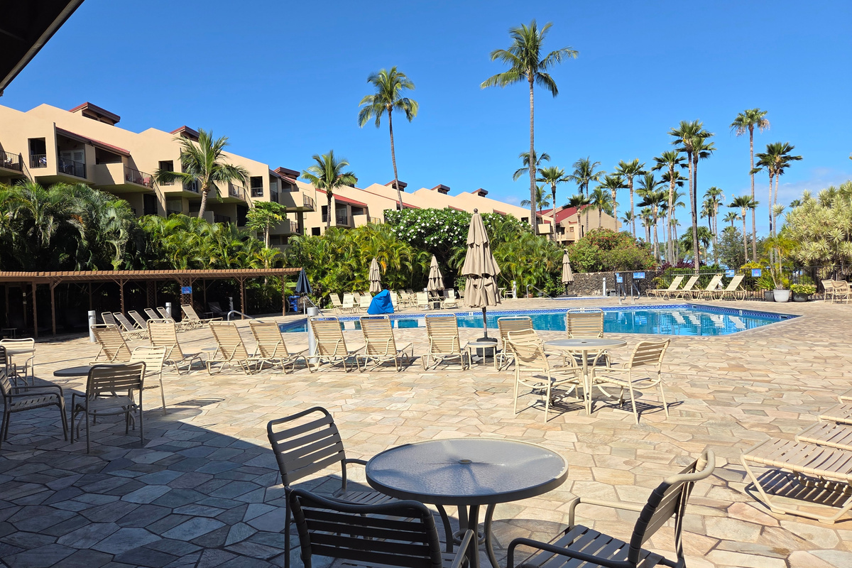 Pool area with shady gazebos to the left