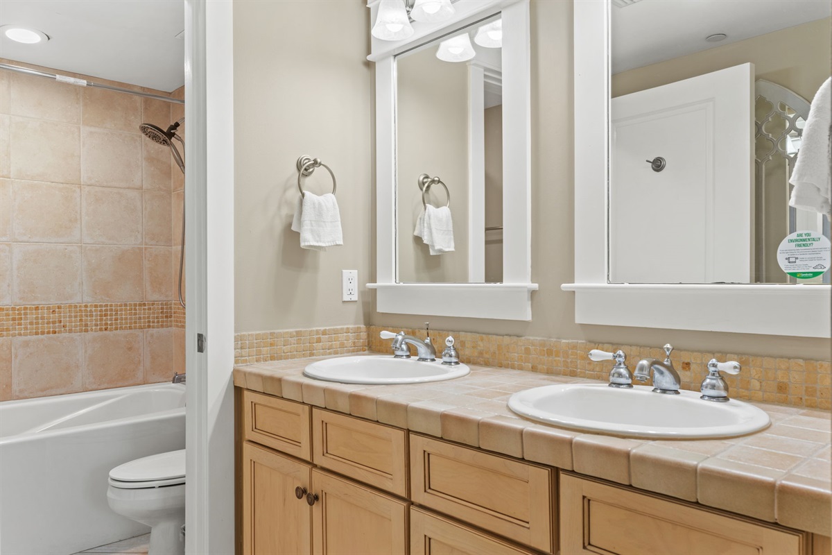 Double Vanity:Master